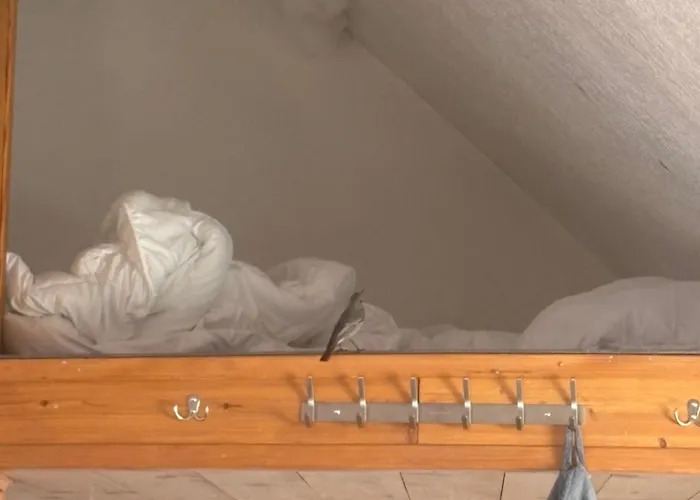 بيت شباب Sky Harmony Penthouse Mit Wasserbett, Jacuzzi Und Grill